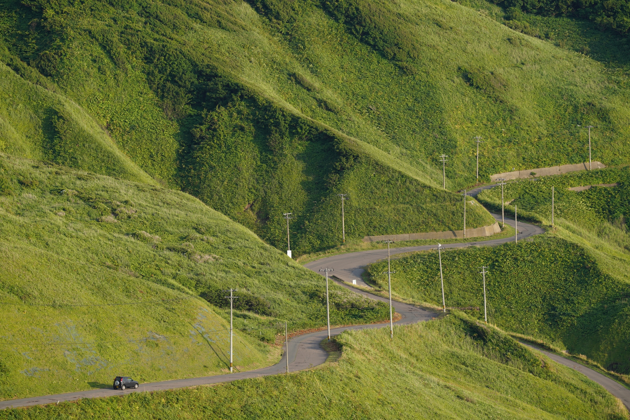 Road winding along a grass-covered hillside