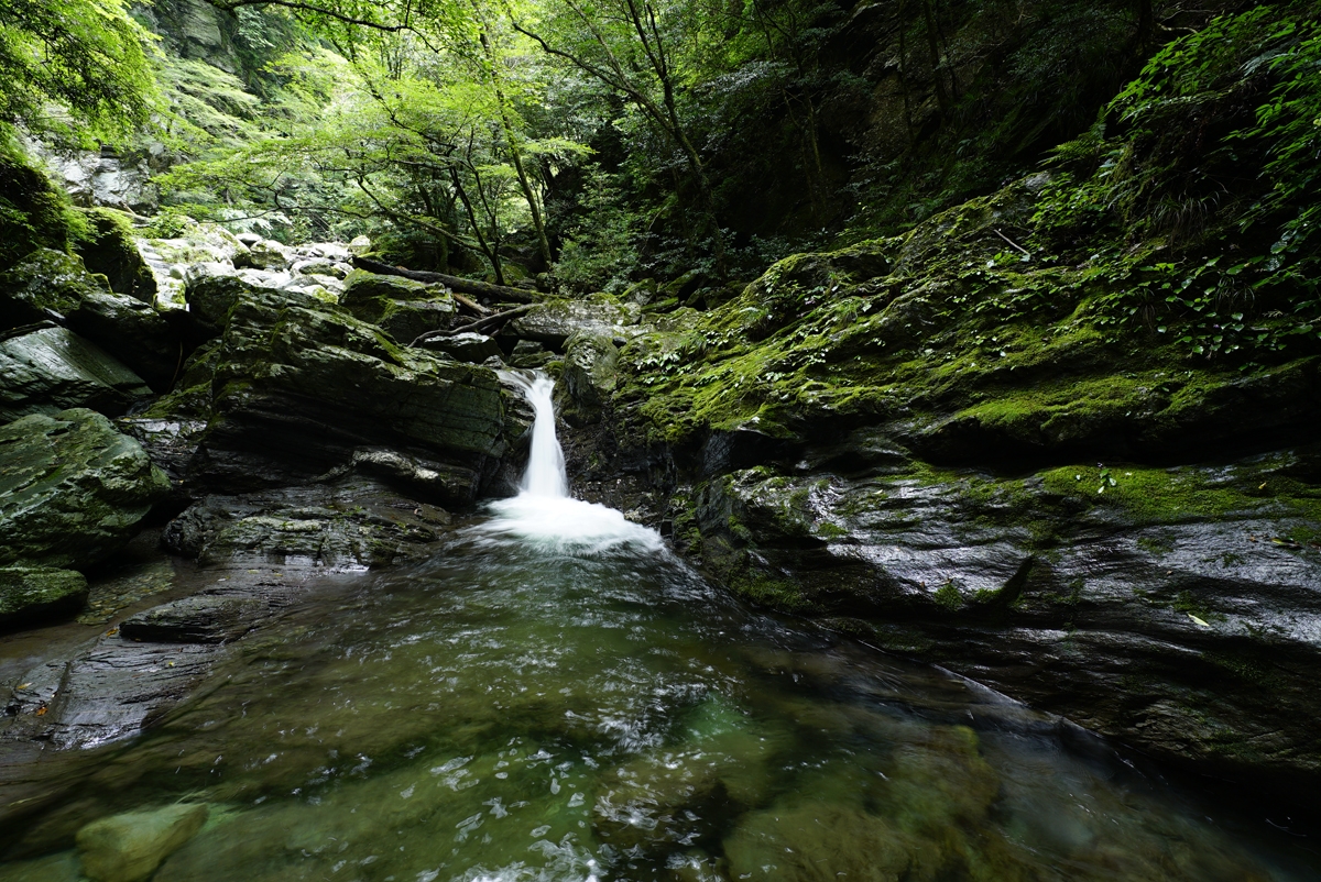Waterfall amid mossy rocks in woodland