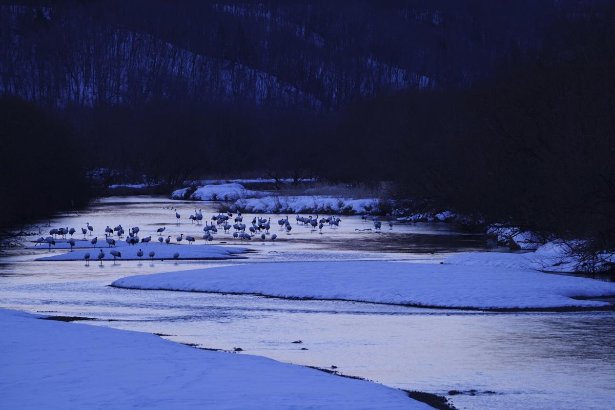 Landscape of a river flowing through a snowy landscape