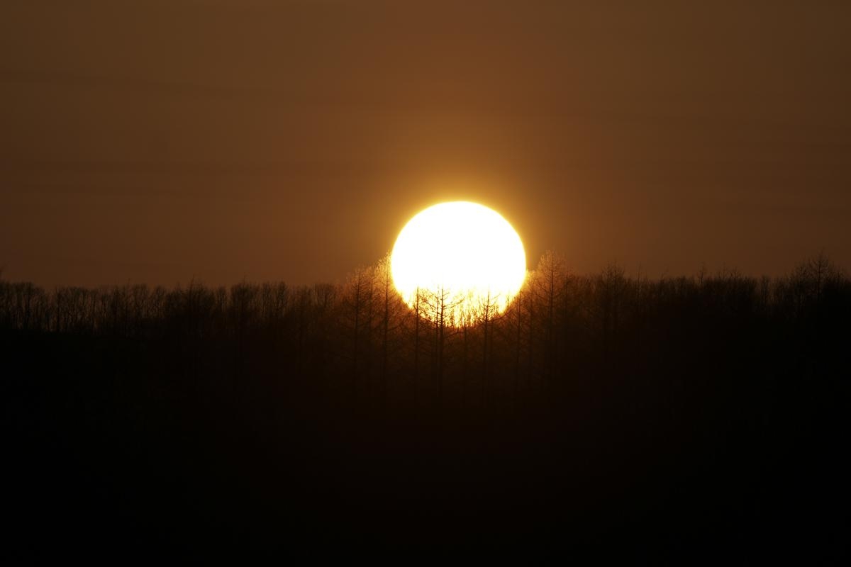 Landscape of setting sun behind a forest