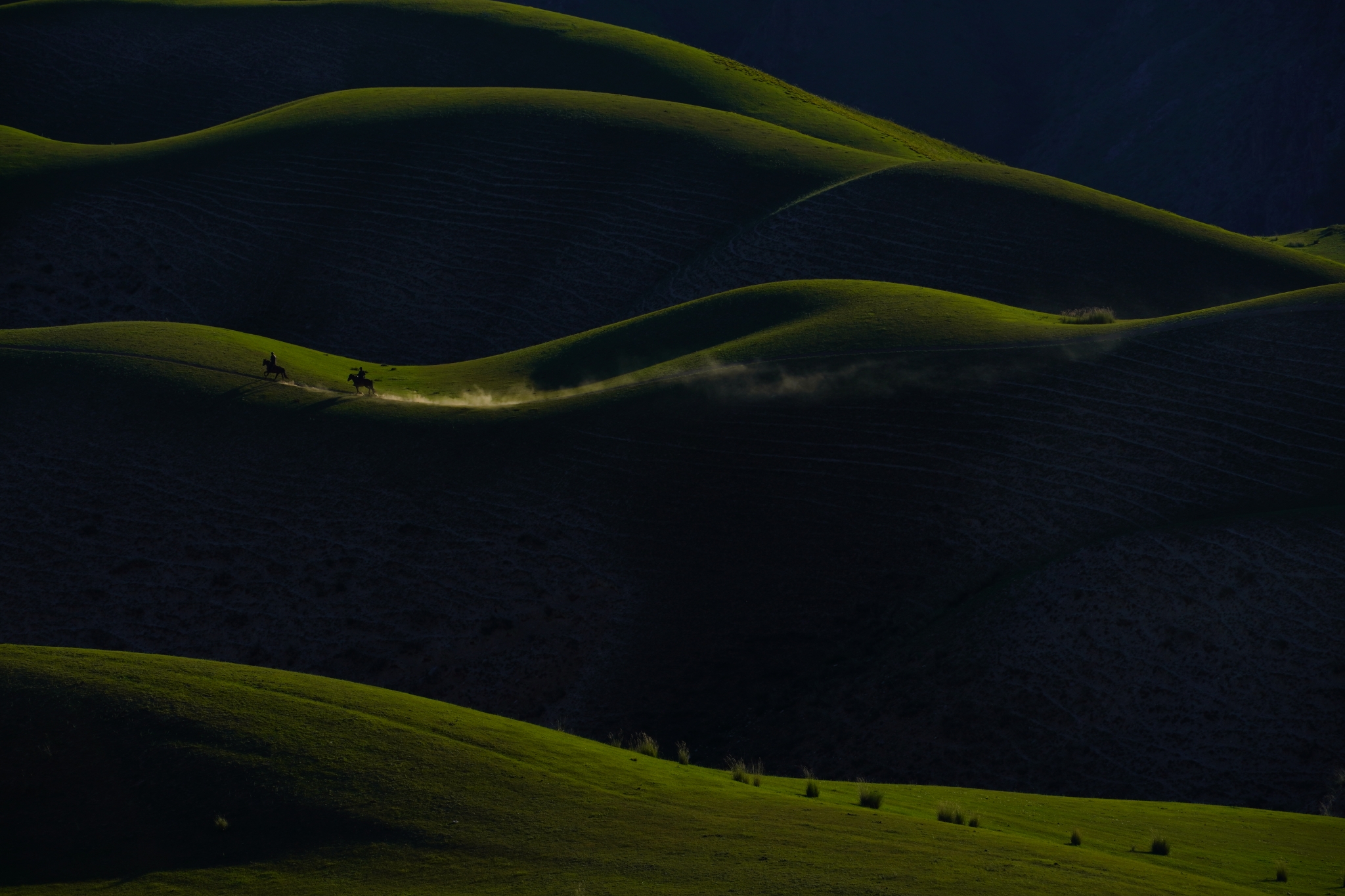 Horses running across dark green grassy hills