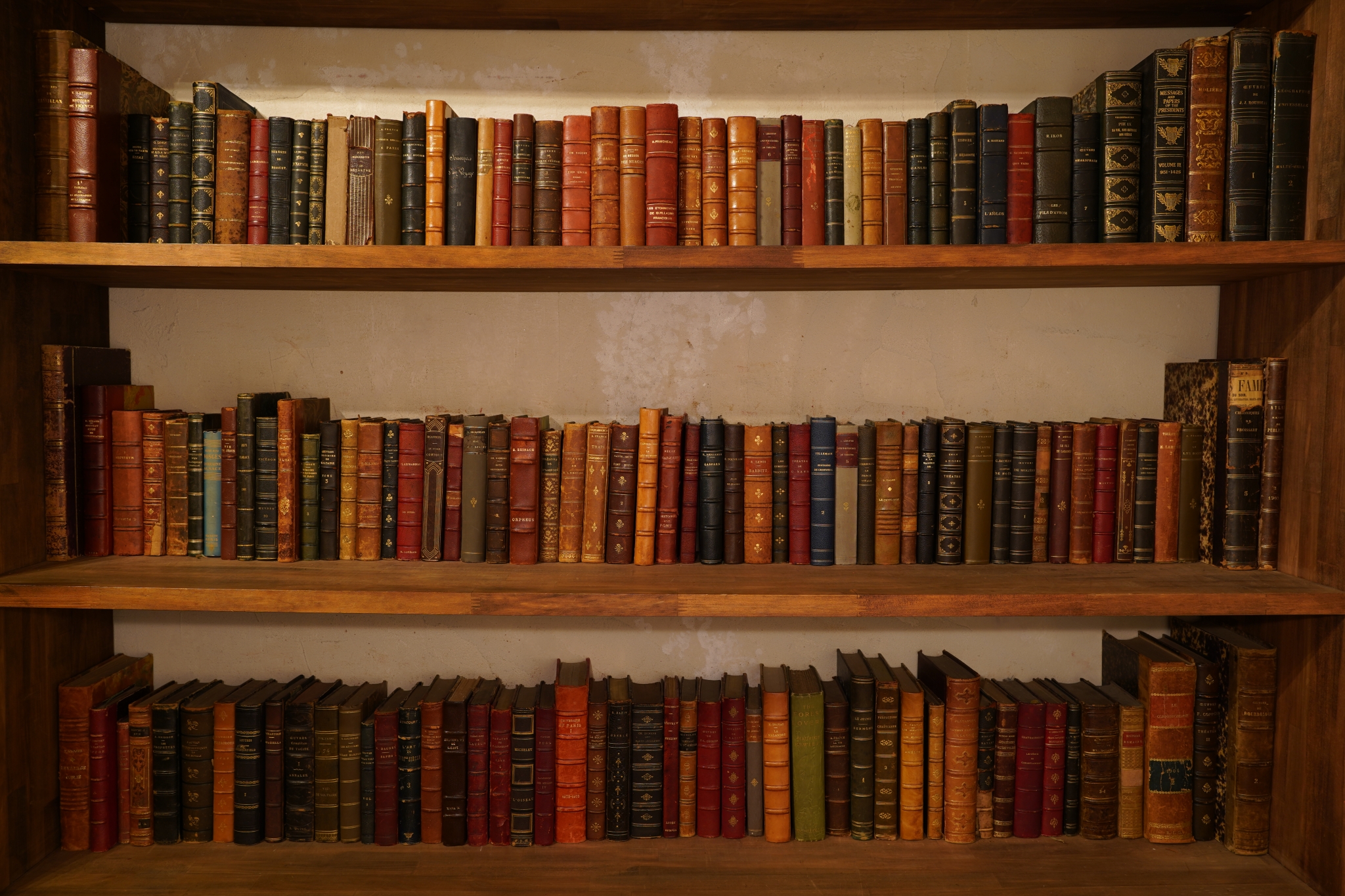 Leather-bound books lined up on shelves