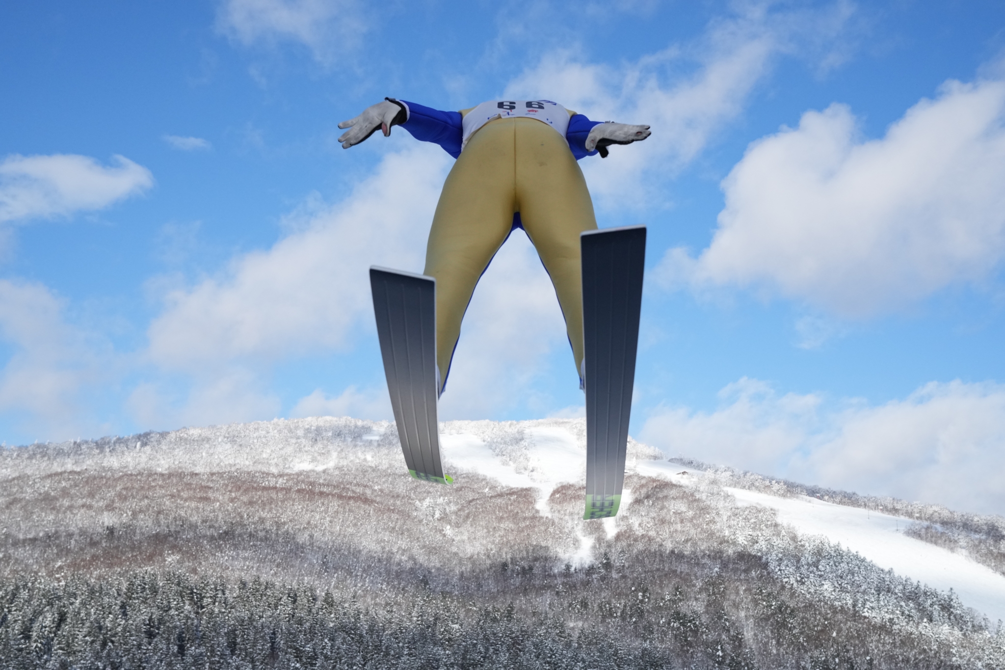 The back of a skier mid jump with snowy mountains in background