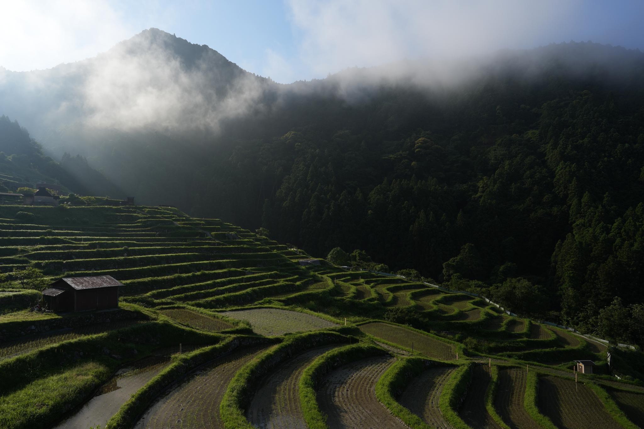 Green farming terraces with cloud-shrouded mountains in the background