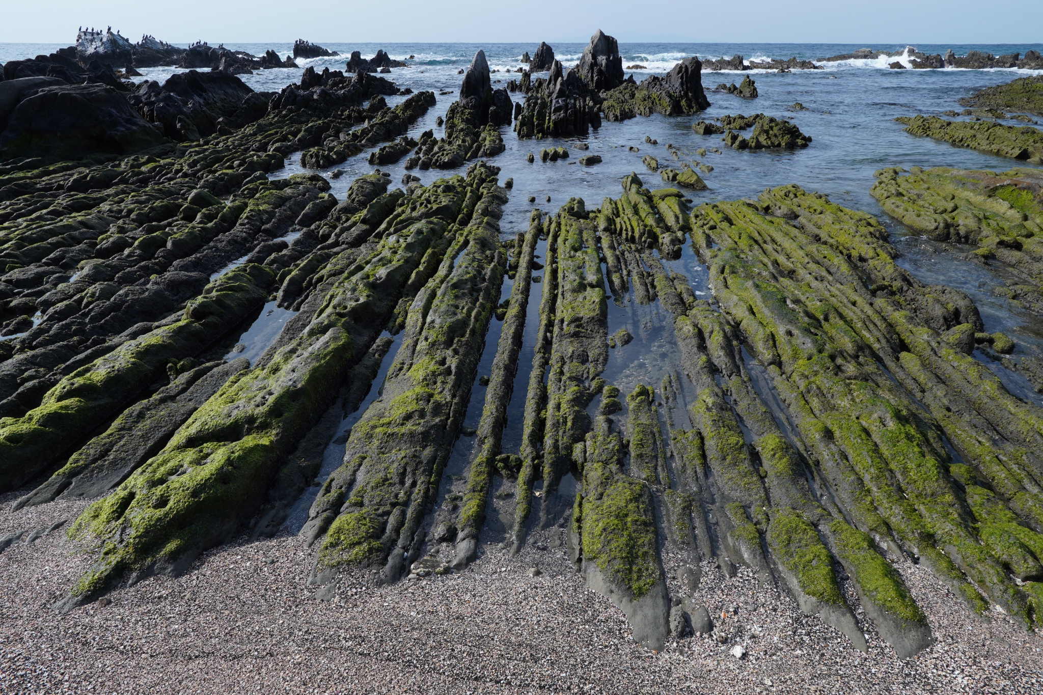 Seaweed-covered rocky ridges perpendicular to the coast