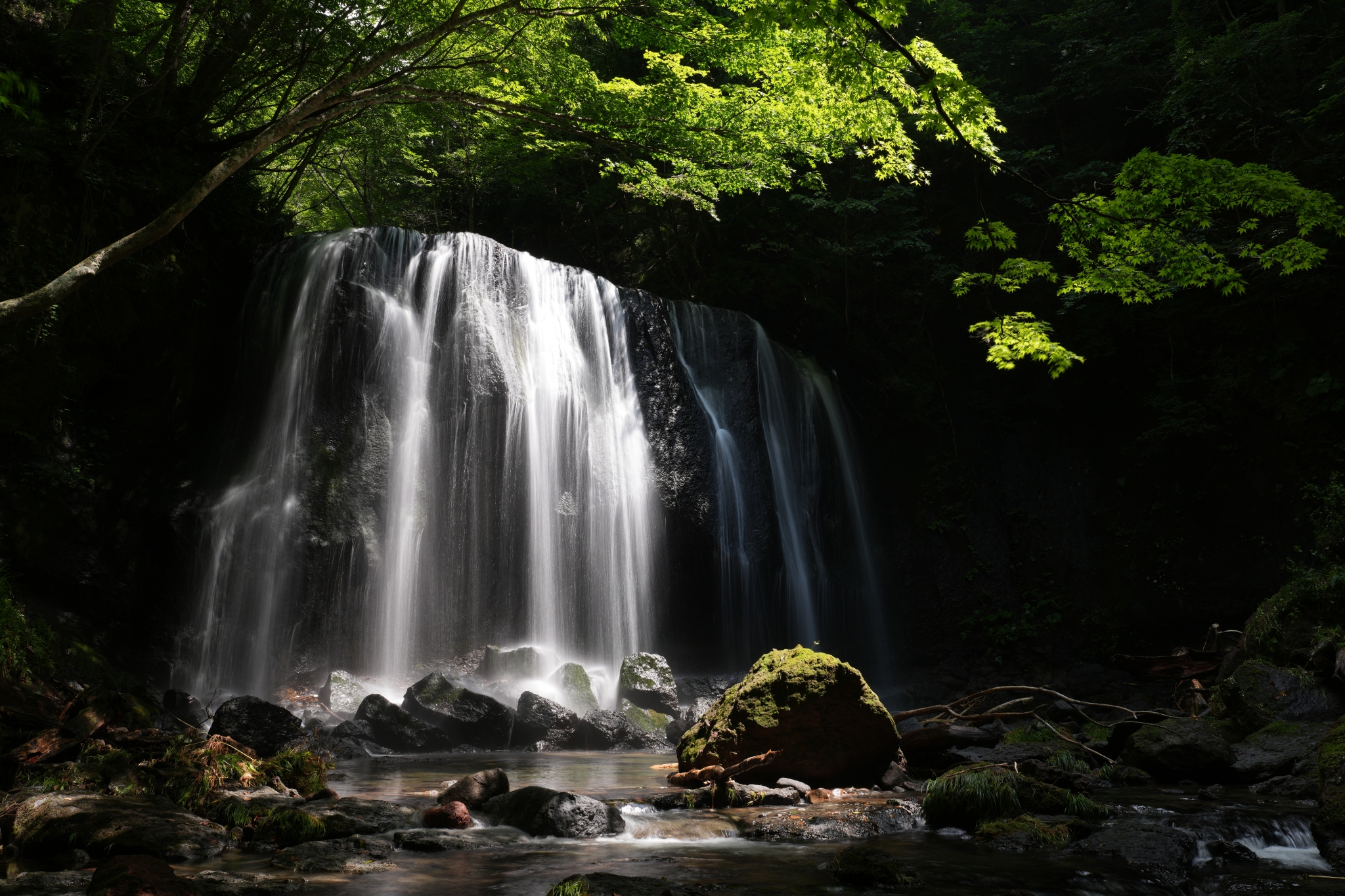 A waterfall in a deeply shaded forest