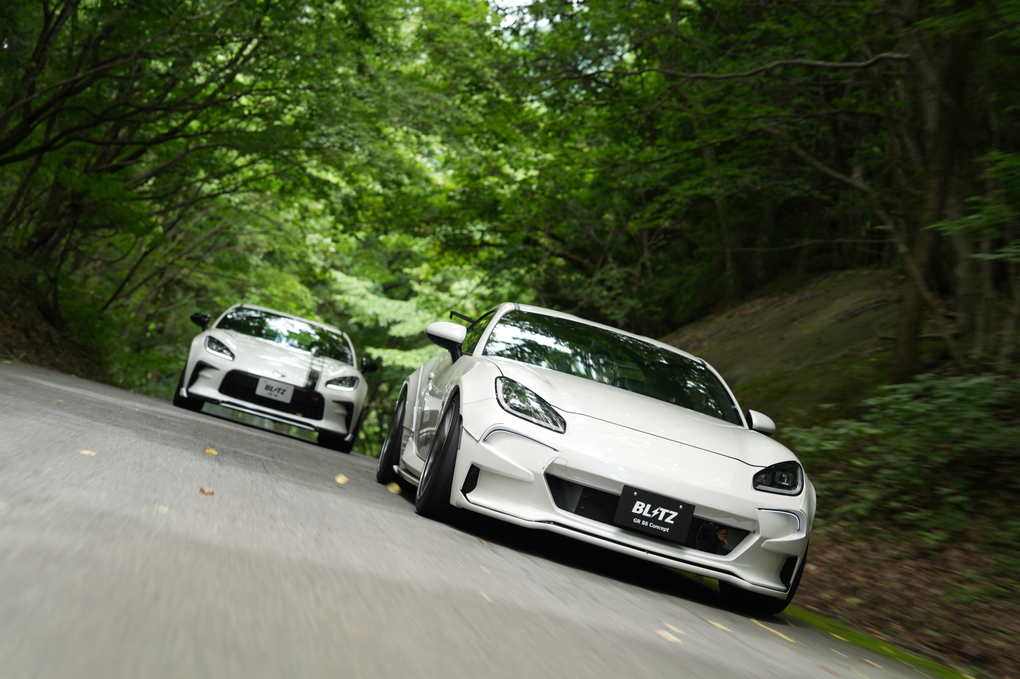 White cars driving down a forested road