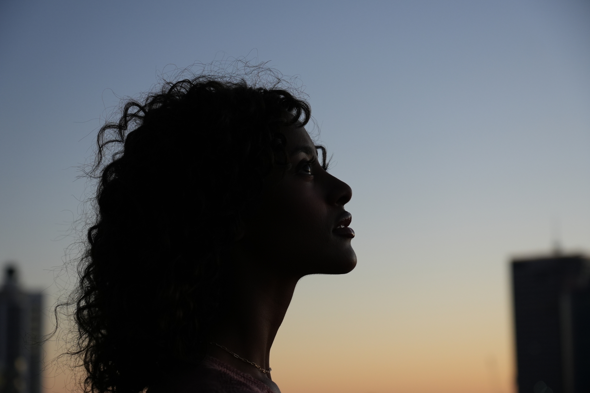 Head of a female model silhouetted against the sky at dusk