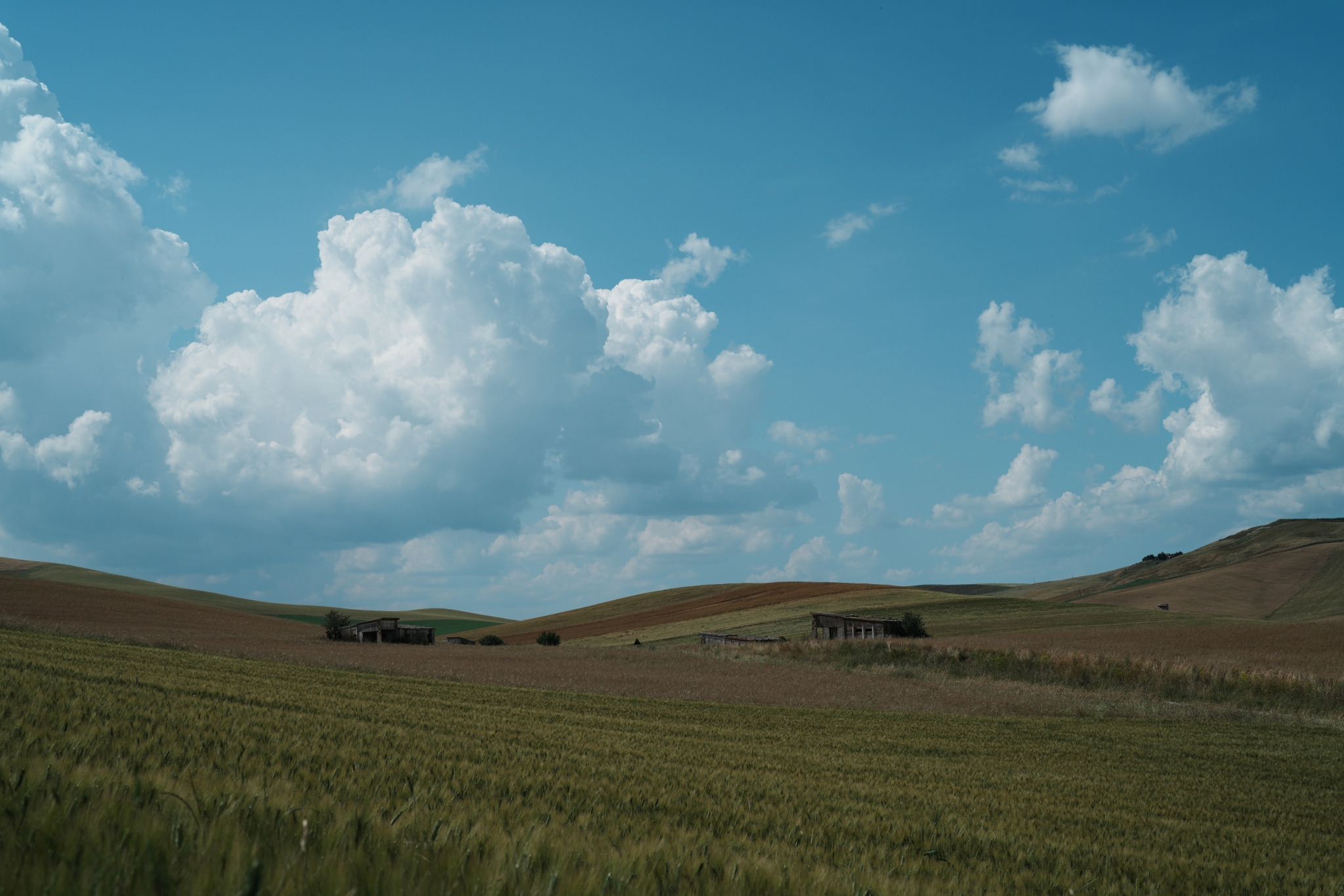 Landscape of grassy fields with blue sky