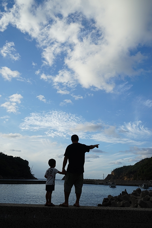 Silhouette of an adult and a child holding hands against sunny harbour background