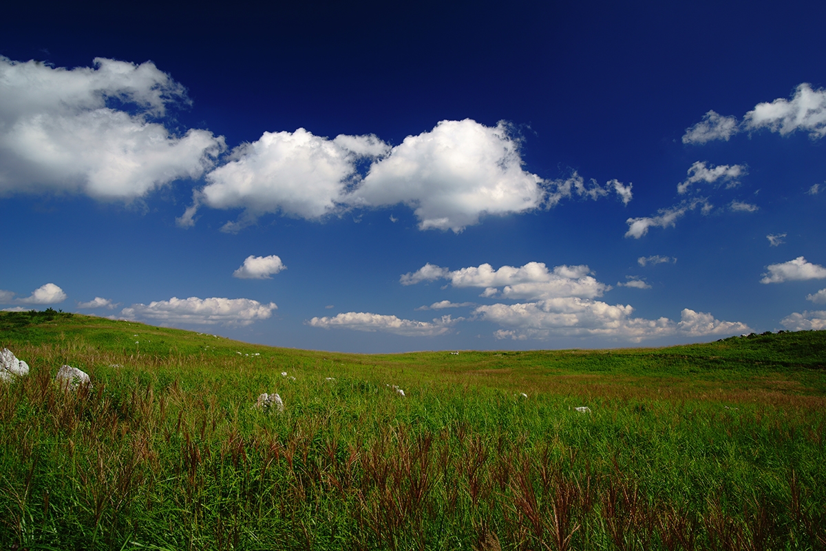 Wide shot of grassy moorland with a few clouds in the sky