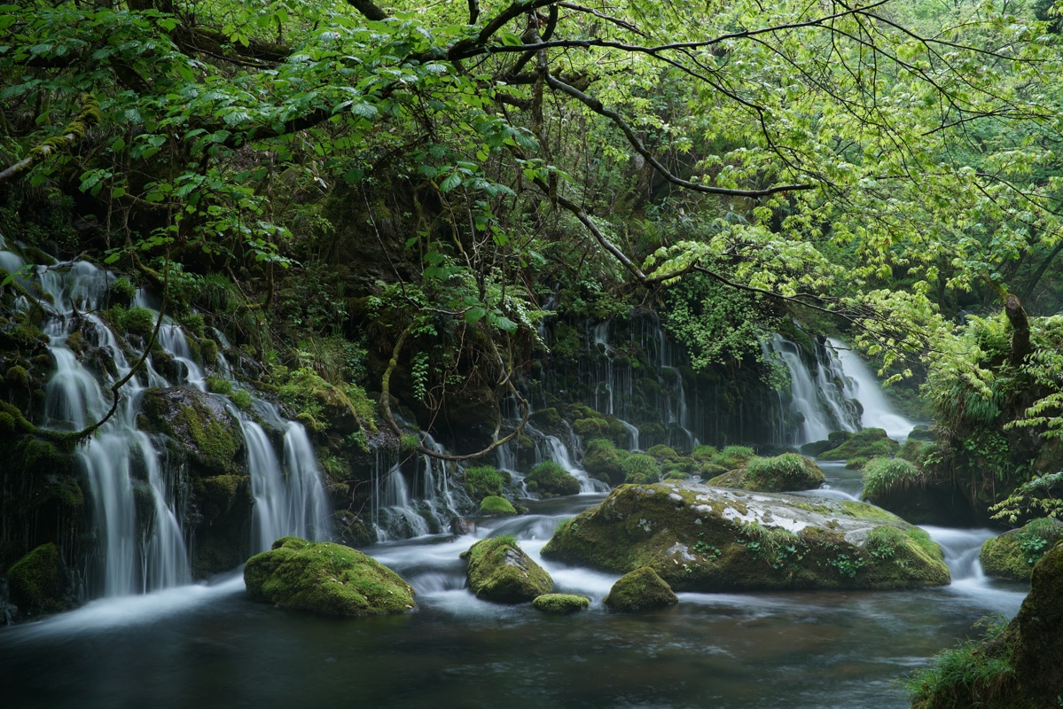 Shot of waterfall and river with overhanging woodland