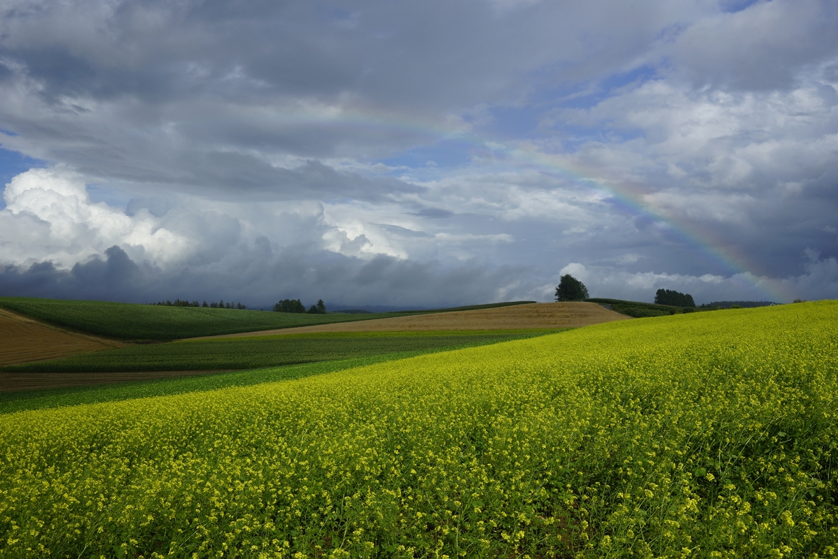 Rolling grassland against threatening sky with rainbow