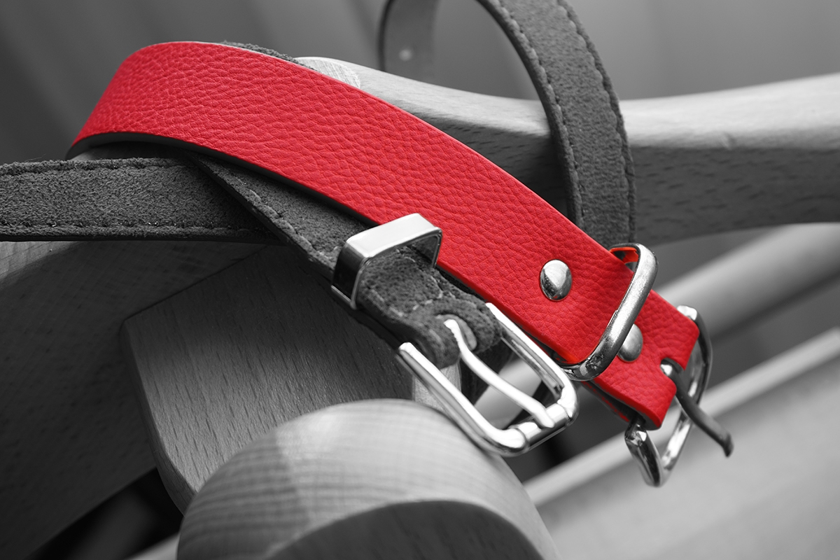 Red and black straps with silver buckles