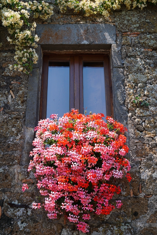 Flower display under window in stone wall