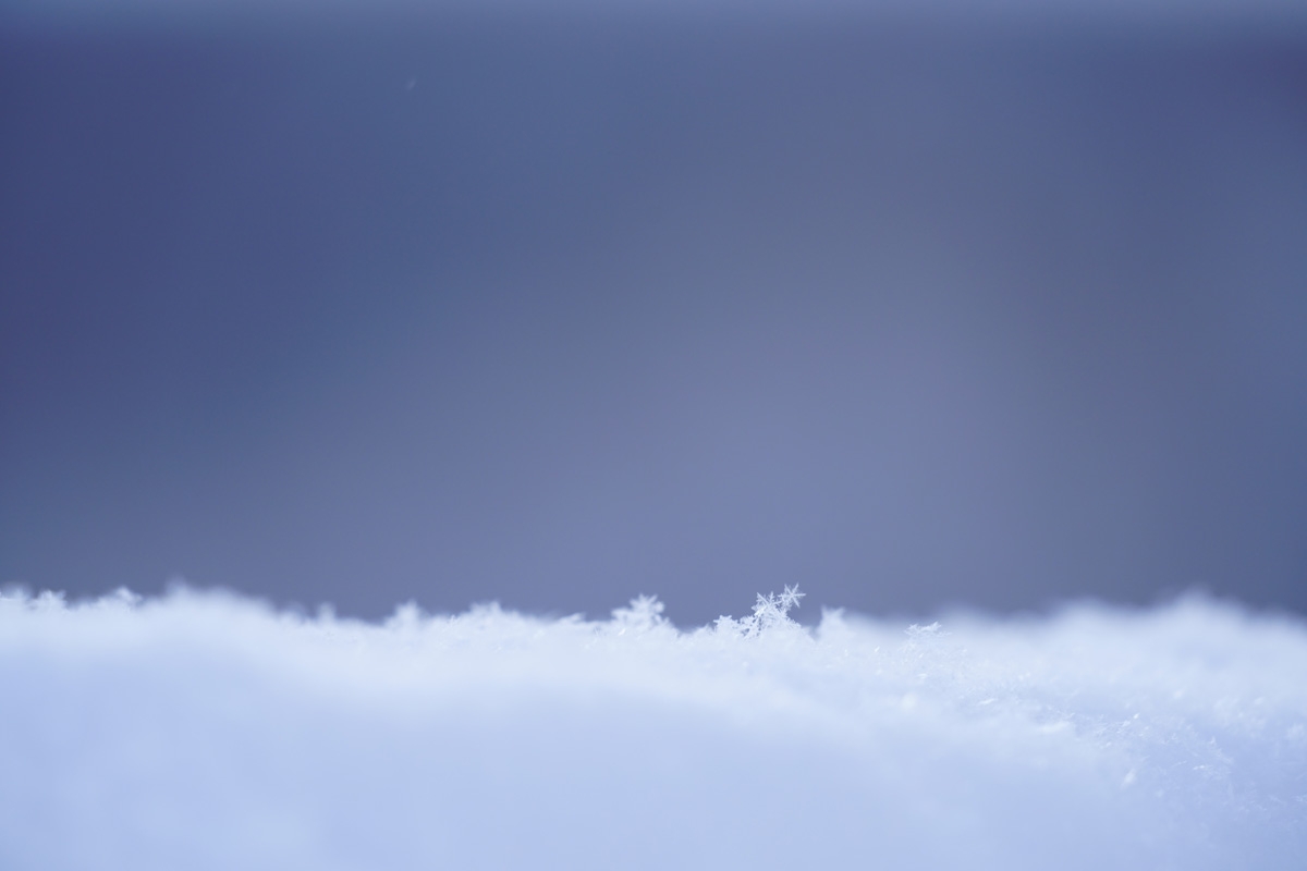 Close-up of snowy ridge with deep foreground and background bokeh