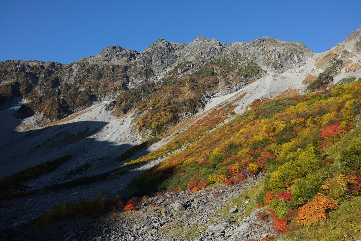 Multi-coloured foliage on mountainside