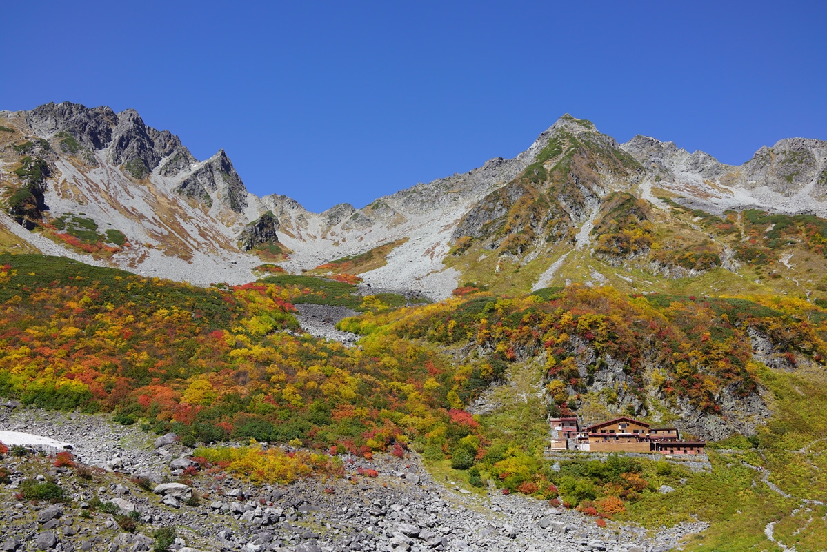 Multi-coloured foliage on mountainside