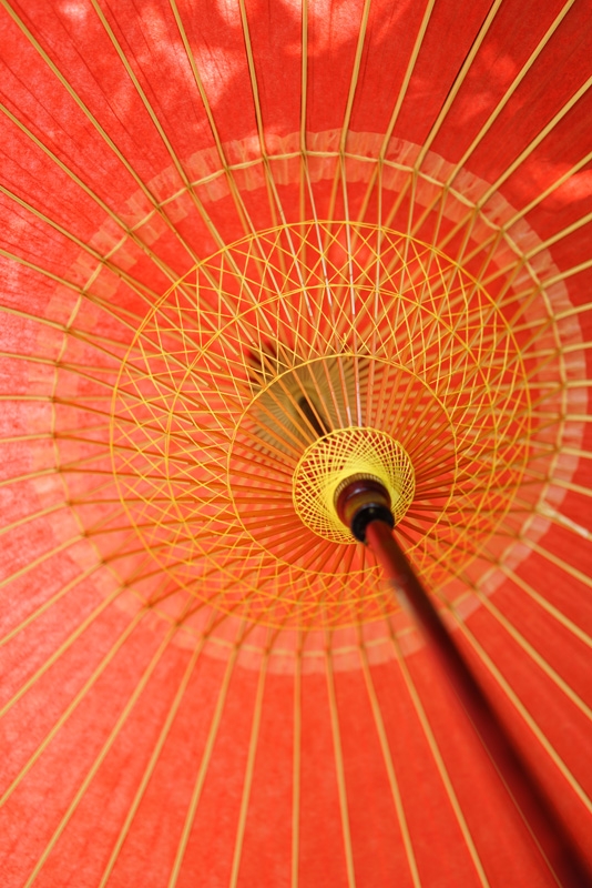 Internal view of ornamental red parasol