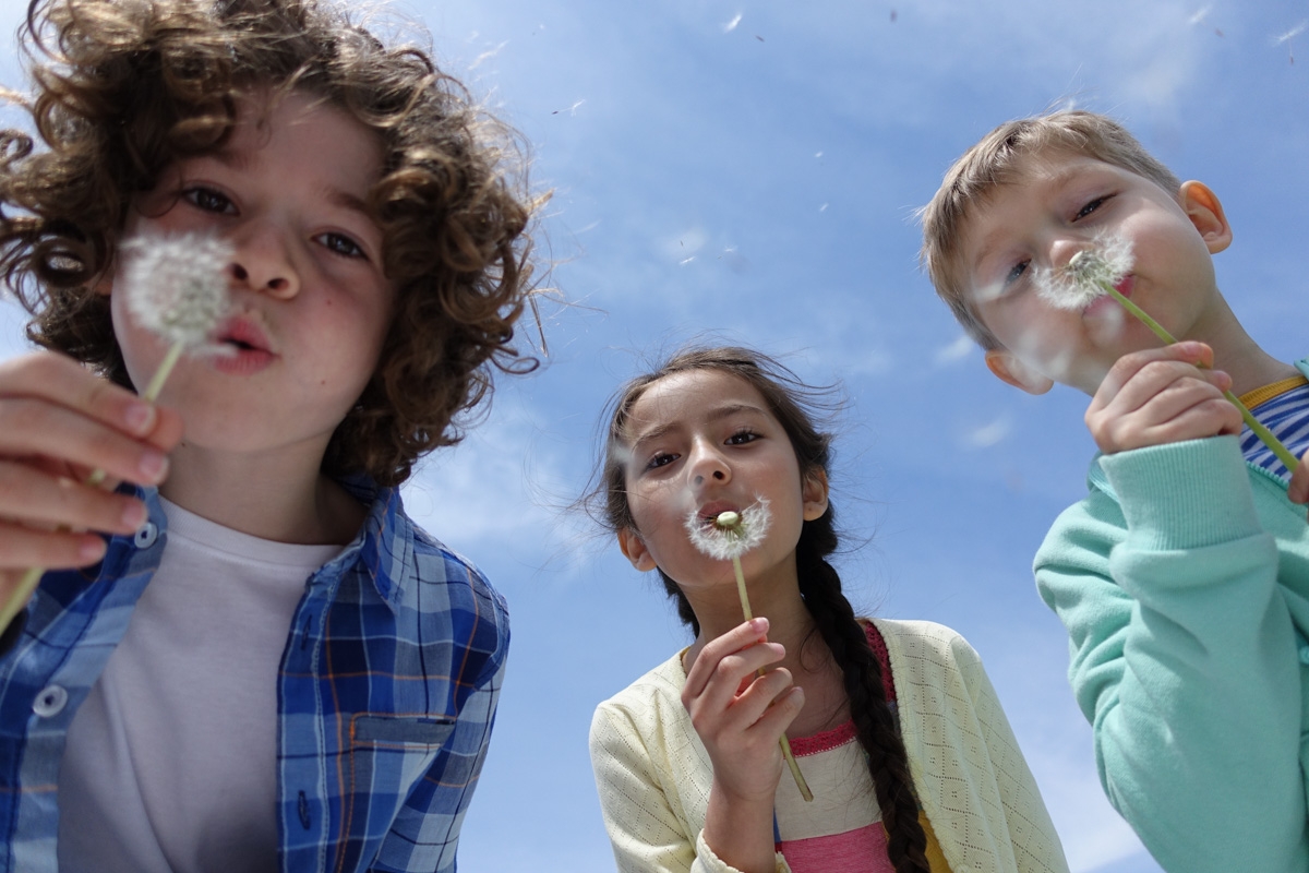 Three children blowing dandelions toward the camera