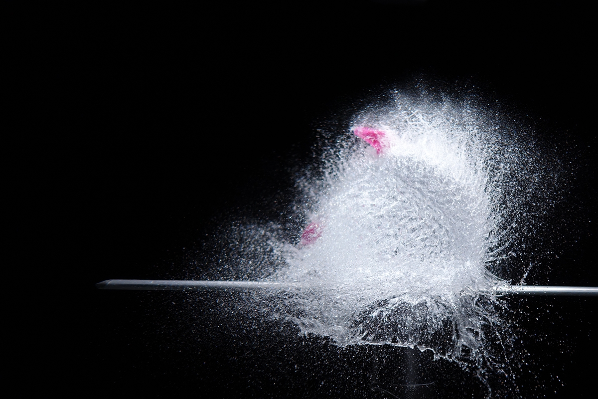 Water balloon exploding after perforation by an arrow