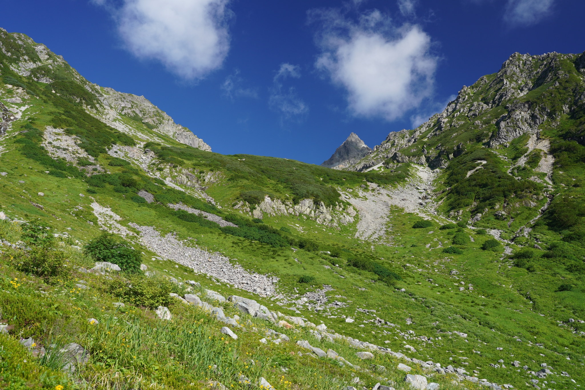 Grass covered hills with blue sky