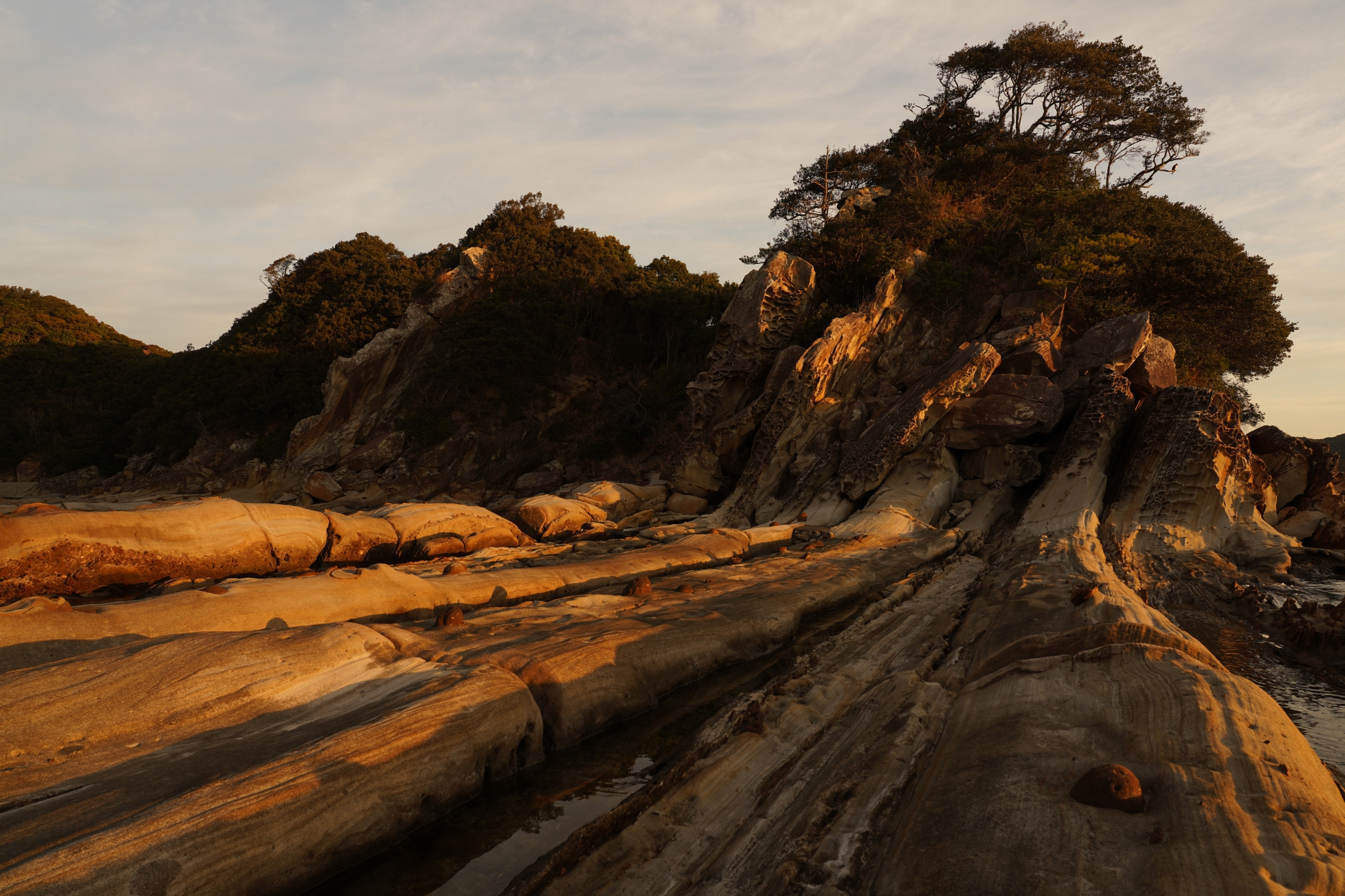 Landscape of rocky sand ridges with trees in the background