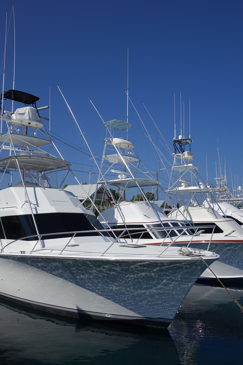 Yachts moored in marina