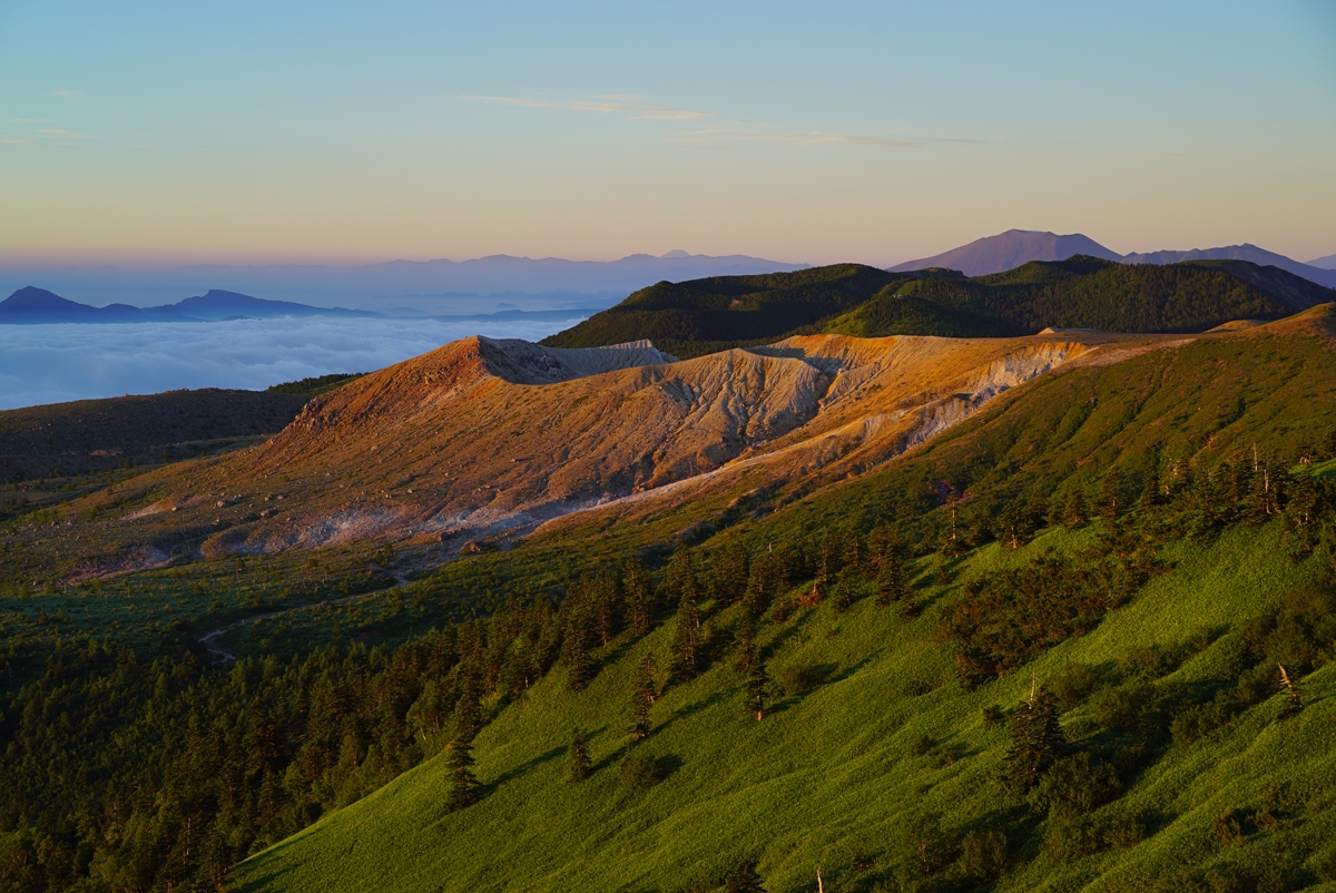 Wooded hillsides with ocean in background