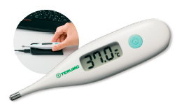 Electronic Thermometer