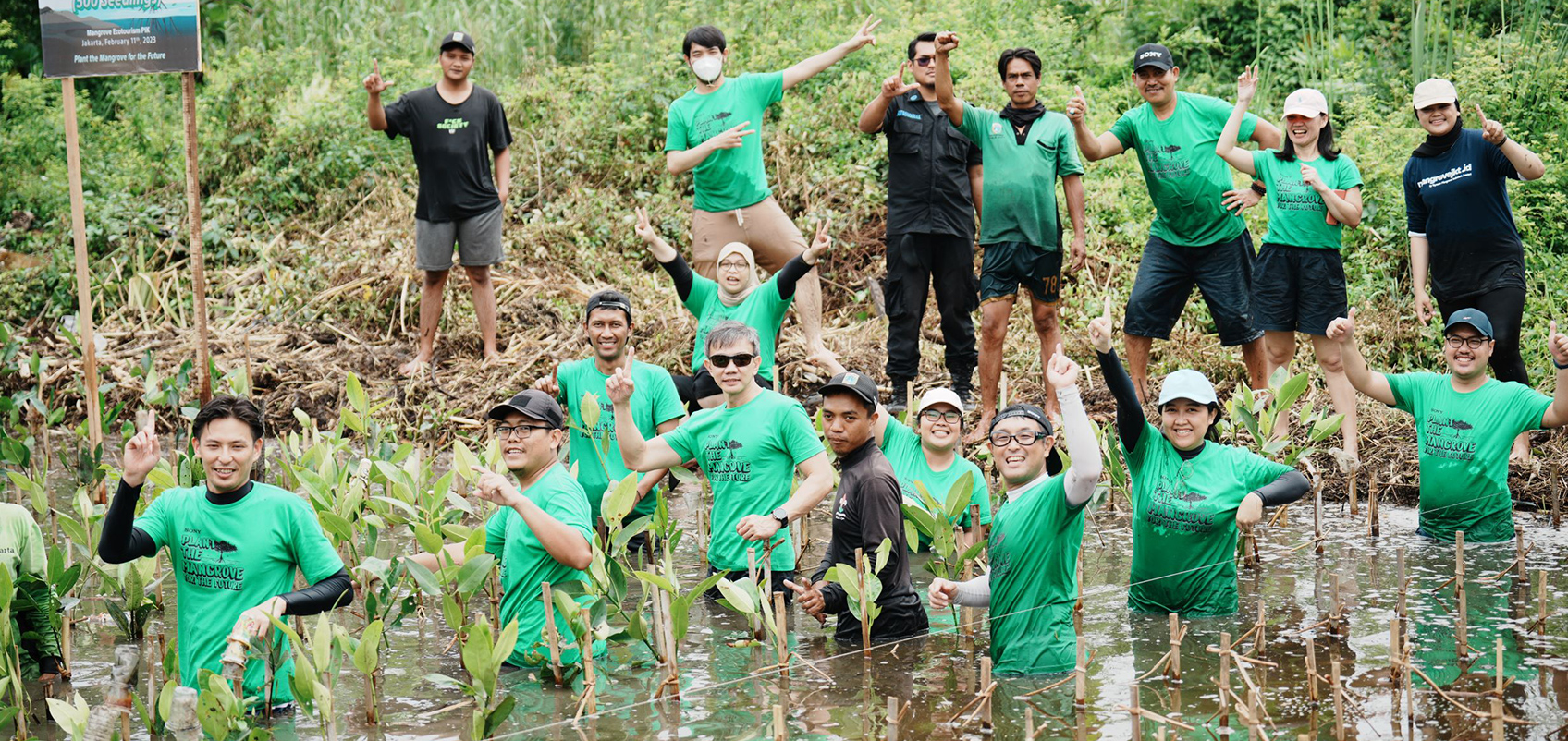 Employees planting mangrove saplings at the water's edge