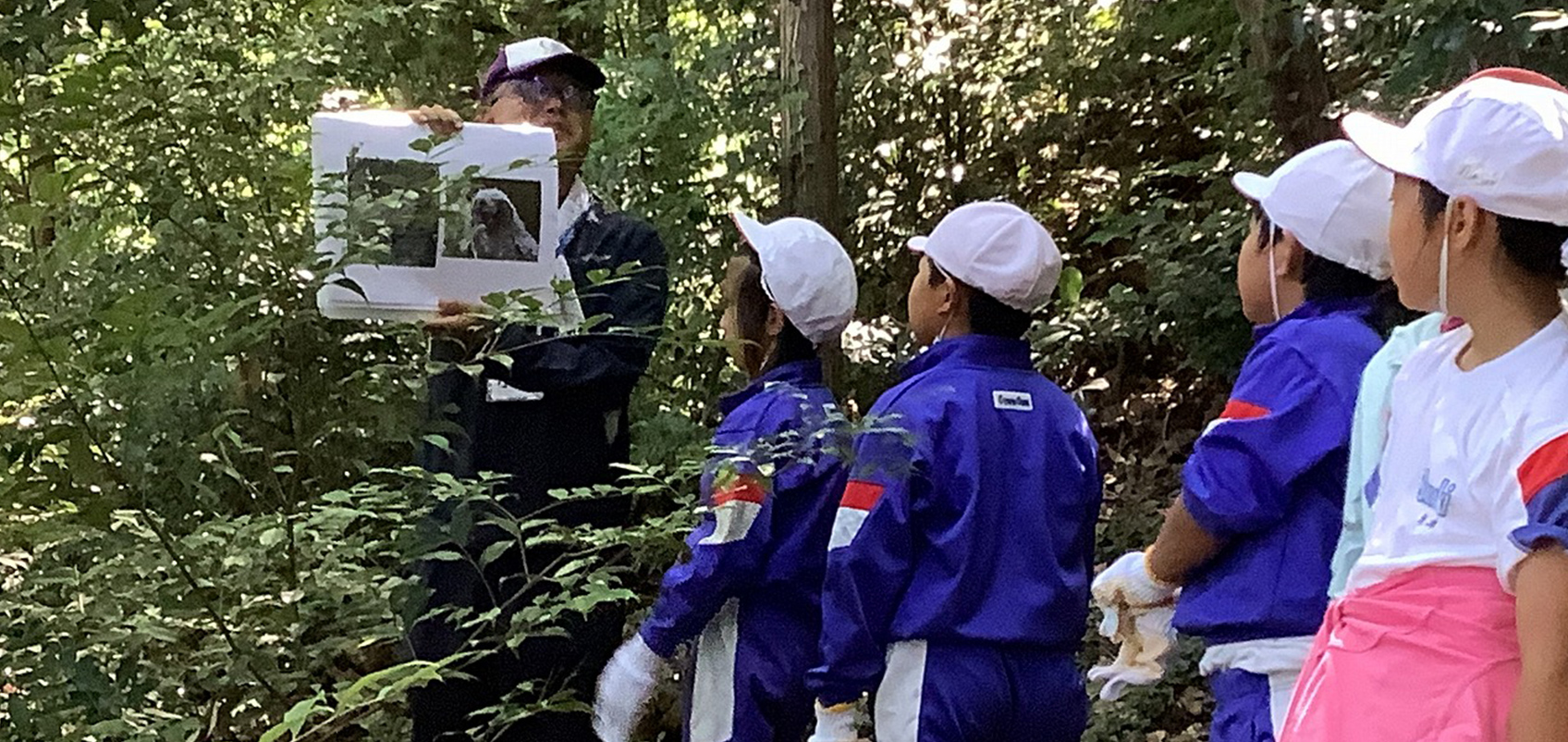 Instructor explaing to children in the forest using a panel