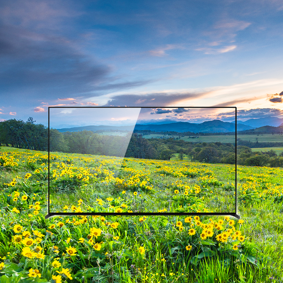 Image of a panorama view of a field, with yellow flowers in the foreground and blue sky and mountains in the background, on which a frame showing BRAVIA TV is imposed with superior clarity.